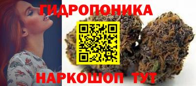 тгк Боровичи